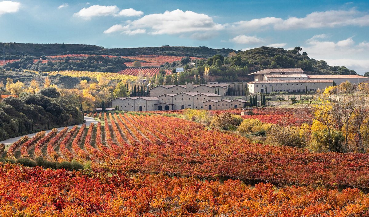 Vigneti Marqués de Murrieta