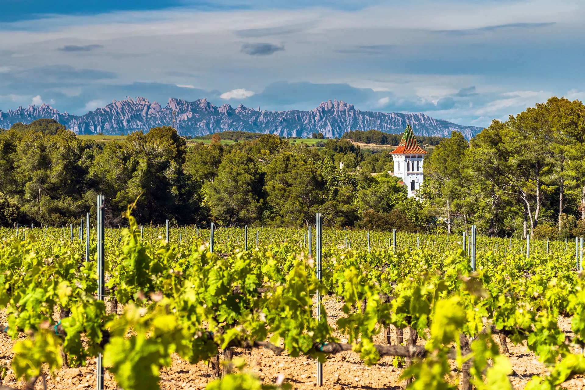 Benvenuti in Catalogna